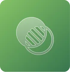 Room-wise transparency